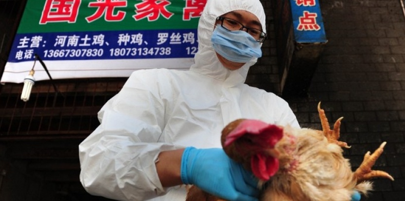 Trung Quốc Số ca nhiễm virút cúm gia cầm H7N9 liên tục tăng